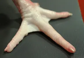 pata-de-pollo-cruda.webp pata-de-pollo-cruda.webp