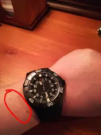 IMG_20190617_154839.webp IMG_20190617_154839.webp