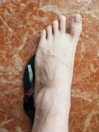 20190625_125407.webp 20190625_125407.webp