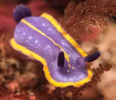 IMG_4963.JPG IMG_4963.JPG