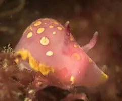 IMG_4962.JPG IMG_4962.JPG