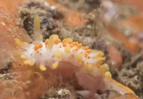 IMG_4970.JPG IMG_4970.JPG