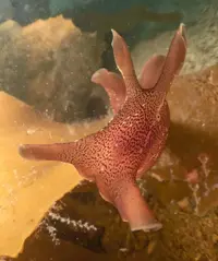 IMG_4967.JPG IMG_4967.JPG