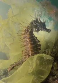 IMG_4961.JPG IMG_4961.JPG