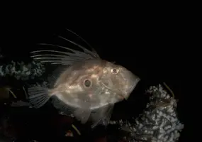 IMG_4972.JPG IMG_4972.JPG