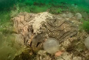 IMG_4960.JPG IMG_4960.JPG