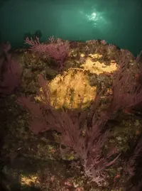 IMG_4968.JPG IMG_4968.JPG