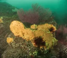 IMG_4964.JPG IMG_4964.JPG