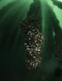 IMG_4973.JPG IMG_4973.JPG