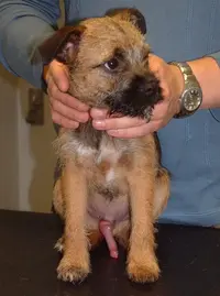 7_274181.webp 7_274181.webp