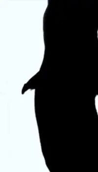 IMG_20190821_194523.webp IMG_20190821_194523.webp