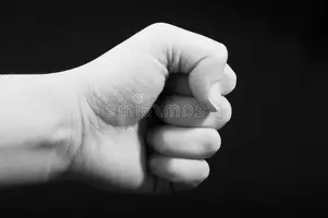 IMG_20190821_194417.webp IMG_20190821_194417.webp