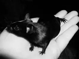 IMG_20190821_194542.webp IMG_20190821_194542.webp