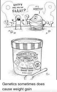 Screenshot_2019-08-25-00-17-47-119_com.facebook.orca.png Screenshot_2019-08-25-00-17-47-119_com.facebook.orca.png