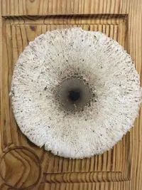 D45C8644-90A4-41F5-8073-9C2B3CD3AF38.webp D45C8644-90A4-41F5-8073-9C2B3CD3AF38.webp