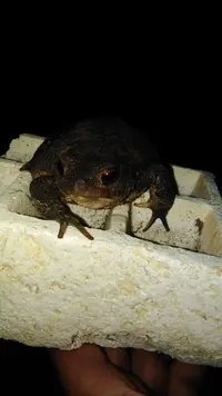 E40CA87A-12B6-45C0-937B-DF89EFBB6D3F.jpeg E40CA87A-12B6-45C0-937B-DF89EFBB6D3F.jpeg