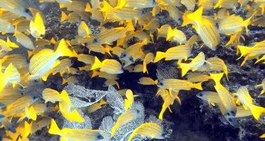 15743475252091224792048.jpg 15743475252091224792048.jpg