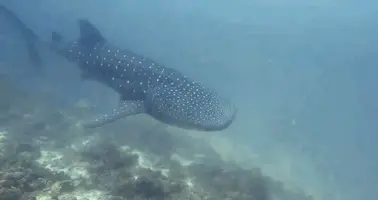 1574347488945493994467.jpg 1574347488945493994467.jpg