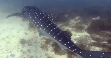 1574347506630-2024546543.jpg 1574347506630-2024546543.jpg