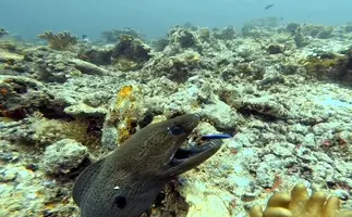 1574347583588722695811.jpg 1574347583588722695811.jpg