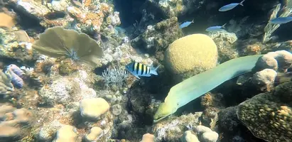 1574347648094813340275.jpg 1574347648094813340275.jpg