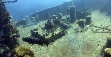 15743476559541662473521.webp 15743476559541662473521.webp