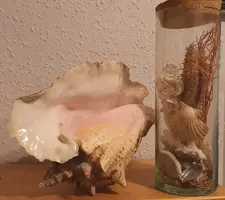 20191121_203154.webp 20191121_203154.webp