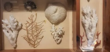 20191121_202320.webp 20191121_202320.webp