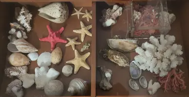 20191121_202717.webp 20191121_202717.webp