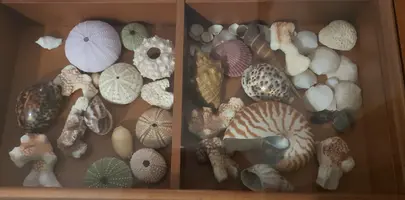 20191121_202724.webp 20191121_202724.webp