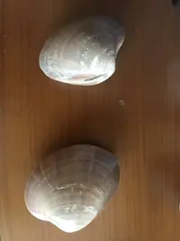 IMG_5873.JPG IMG_5873.JPG