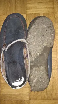 IMG-20191029-WA0031.jpeg IMG-20191029-WA0031.jpeg