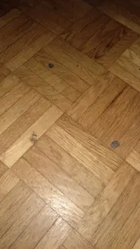 IMG-20191029-WA0035.jpeg IMG-20191029-WA0035.jpeg