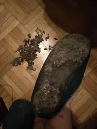 IMG_20191126_220039.webp IMG_20191126_220039.webp