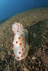 IMG_5978.webp IMG_5978.webp