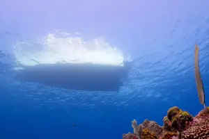 Anthony's Key Resort - 4.webp Anthony's Key Resort - 4.webp