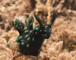 IMG_5984.webp IMG_5984.webp