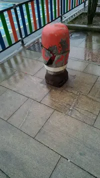 BC4752FE-86BF-4891-9BB3-D78E6230E227.webp BC4752FE-86BF-4891-9BB3-D78E6230E227.webp