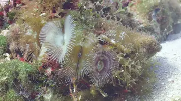 DSC05590.JPG DSC05590.JPG