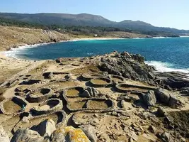 1A78CC8C-25B6-4F69-A725-DF390A0E0338.webp 1A78CC8C-25B6-4F69-A725-DF390A0E0338.webp