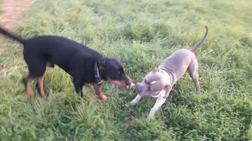 20200211_181447.jpg 20200211_181447.jpg