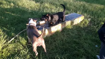 20200210_173242.jpg 20200210_173242.jpg