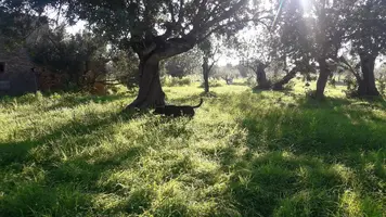 20200210_163948.jpg 20200210_163948.jpg