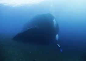 IMG_6219.webp IMG_6219.webp