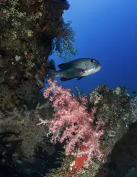 IMG_6220.webp IMG_6220.webp