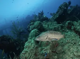 IMG_6221.webp IMG_6221.webp