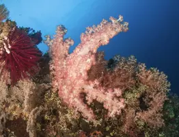 IMG_6223.webp IMG_6223.webp