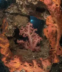 IMG_6224.webp IMG_6224.webp