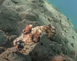 IMG_6227.webp IMG_6227.webp