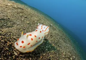 IMG_6234.webp IMG_6234.webp